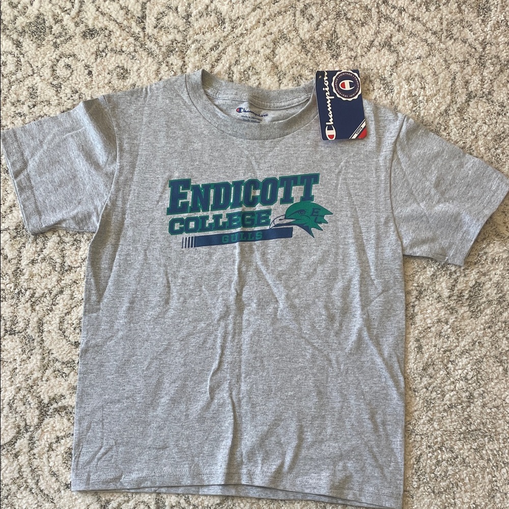 Champion Gray and Green Kids Endicott College Tee